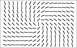 Richtungsfeld einer
            Differentialgleichung