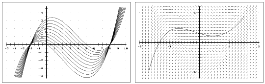 Kurvenschar und Richtungsfeld einer Differentialgleichung